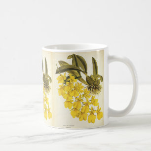 Vintage gelbe Oncidium-Orchidee, tropische Blumen Kaffeetasse