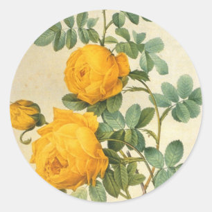 Vintage Gelbe Rose Aufkleber