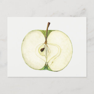 Vintage-Gemälde von grünem Apfel Postkarte