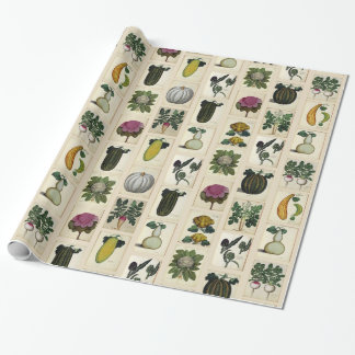Vintage-Gemüse-Botanikdrucke Geschenkpapier