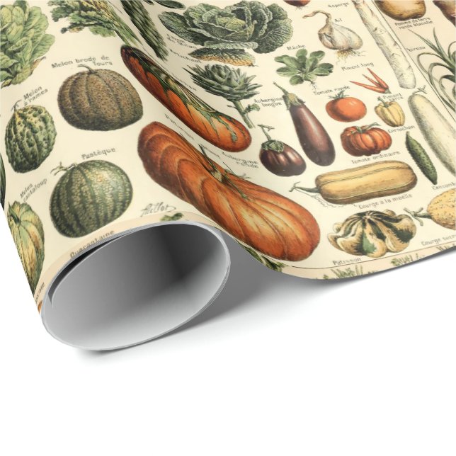 Vintage Gemüsemöglichkeiten von Adolphe Millot Geschenkpapier (Rolleneckpunkt)