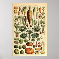 Vintage Gemüseserie von Adolphe Millot