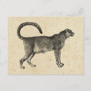 Vintage Gepard Postkarte