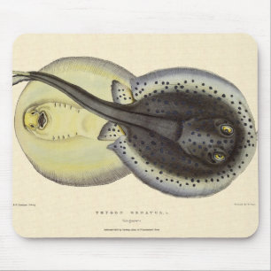Vintage Gepunktete Rochen, Meerestiere Mousepad