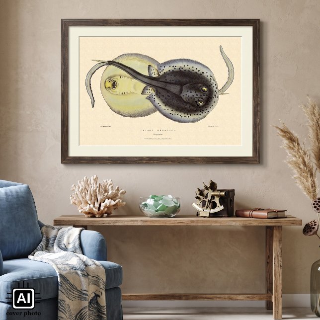 Vintage Gepunktete Rochen, Meerestiere Poster (Vintage illustration marine life textbook science design featuring blue-spotted ribbontail stingrays)