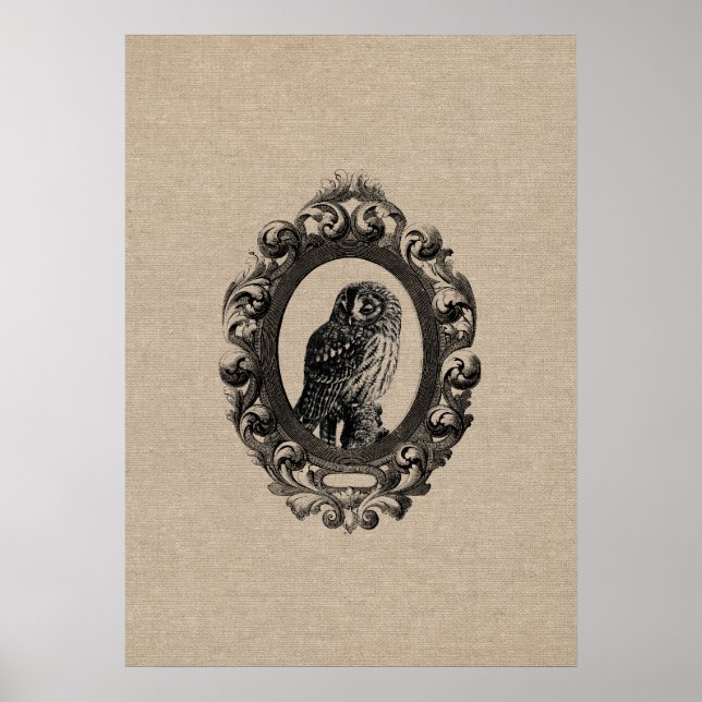 Vintage gerahmte Eule, Vögel rustikal chic Poster (Vorne)