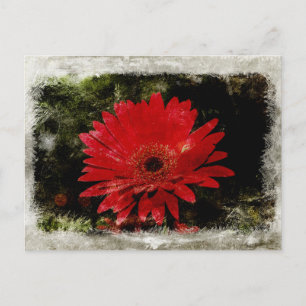 Vintage Gerber-Marguerite Postkarte
