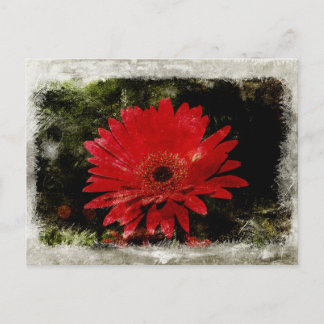 Vintage Gerber-Marguerite Postkarte