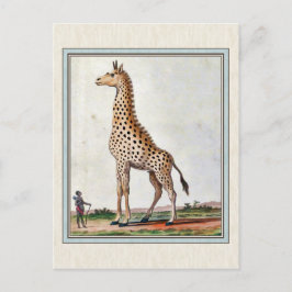 Vintage Giraffe-Illustration Postkarte