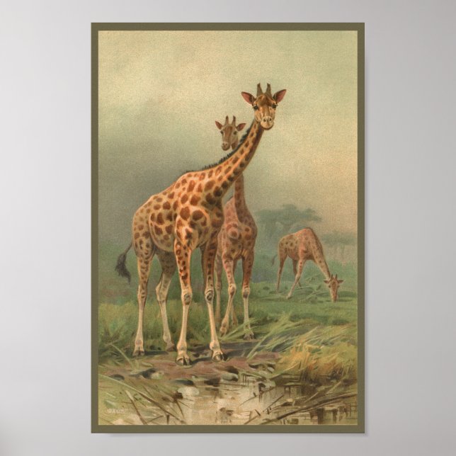 Vintage Giraffe Kunst, die afrikanische Plains dru Poster (Vorne)