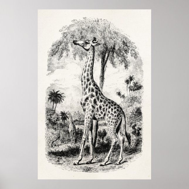 Vintage Giraffe Personalisierte Tierdarstellung Poster (Vorne)