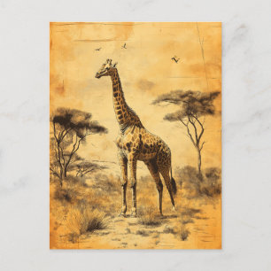 Vintage Giraffe Südafrika Savanne Postcard Postkarte