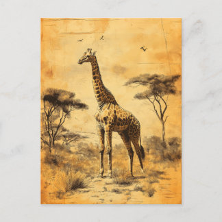 Vintage Giraffe Südafrika Savanne Postcard Postkarte