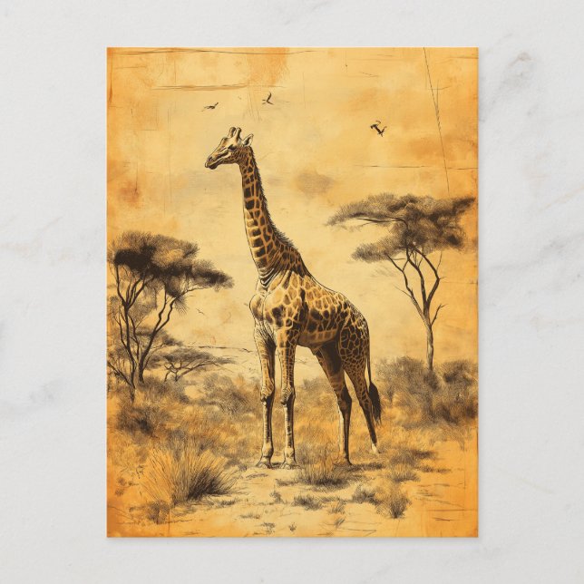 Vintage Giraffe Südafrika Savanne Postcard Postkarte (Vorderseite)