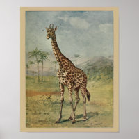 Vintage-Giraffe-Tier-Kunst-Druck Naturgeschichte