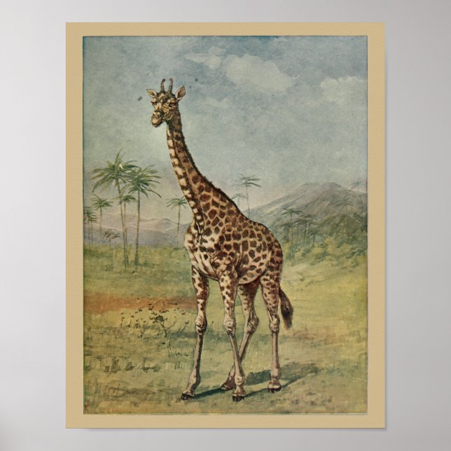 Vintage Giraffe Tierkunst Drucken Naturgeschichte Poster (Vorne)