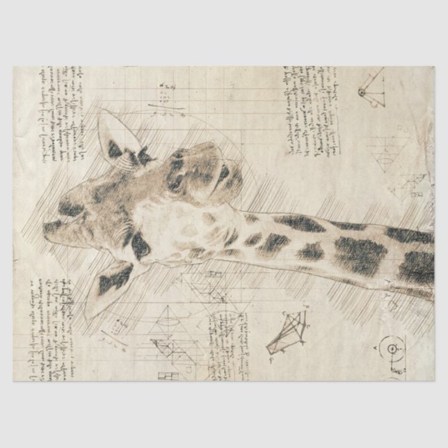 Vintage Giraffe Zeichnend Seidenpapier (Vorderseite)