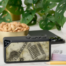 Vintage Gitarre mit Mikrofon - Lautsprecher im Fre