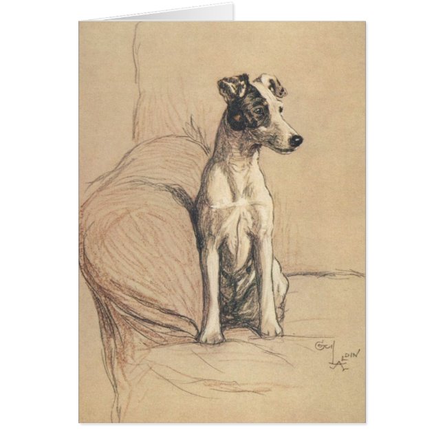 Vintage - Glatter Foxterrier, (Vorne)