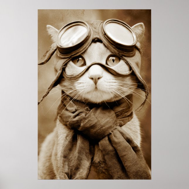 Vintage-Goggle-Cat-Schal Retro-Muster Poster (Vorne)