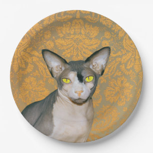 Vintage Golddamast Sphynx Katze durch Rex Katzen Pappteller