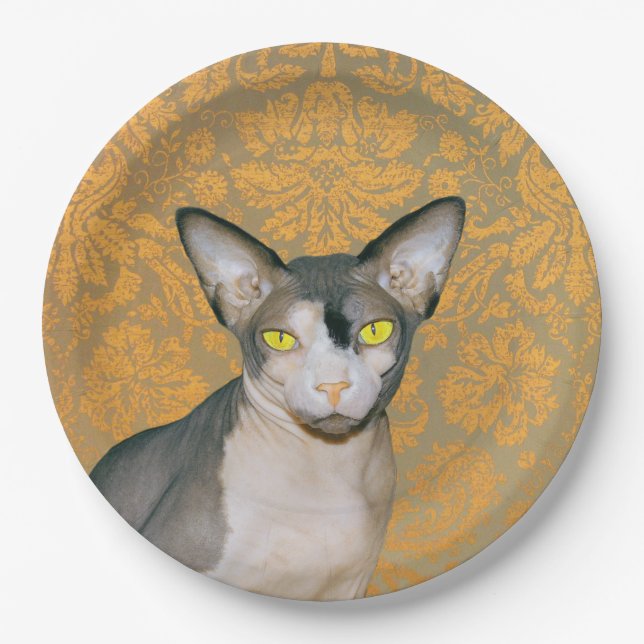 Vintage Golddamast Sphynx Katze durch Rex Katzen Pappteller (Vorderseite)