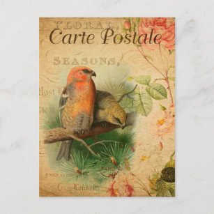 Vintage Gosbeak Birds Floral Französischer Carte P Postkarte