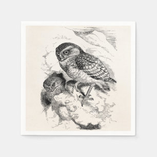 Vintage grabende Eulen-Küken-Vogel-Illustration Serviette
