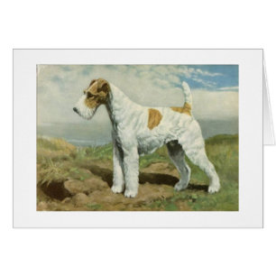 Vintage Grafik - Drahtfox-Terrier-Hund,