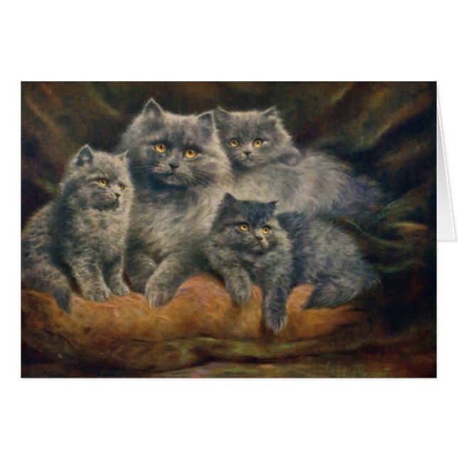 Vintage Grafik - schöne Katzen-Familie, (Vorderseite (Horizontal))