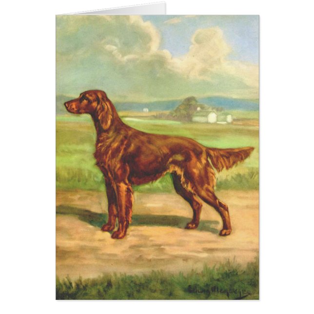 Vintage Grafik - Setter-Hund, (Vorne)