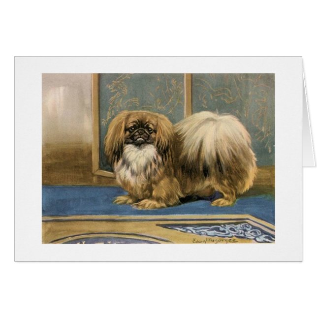 Vintage Grafik von Pekingese Hund, (Vorderseite (Horizontal))