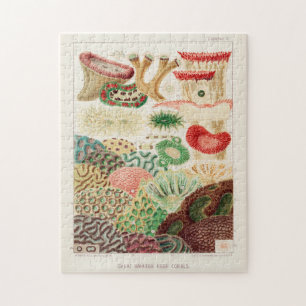 Vintage Great Barrier Reef von Australien Korallen Puzzle