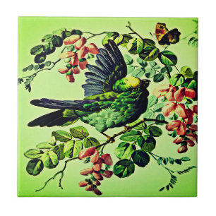 Vintage Green Bird Illustration von L. Prang & Co  Fliese