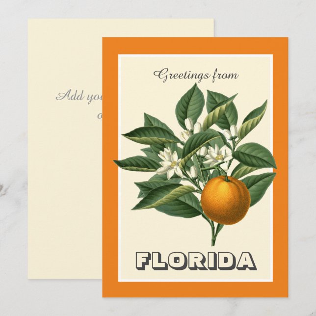 Vintage Greetings from Florida Orange Fruit  (Vorne/Hinten)
