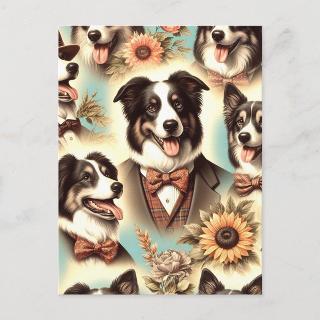 Vintage Grenz-Collie-Luustration Postkarte (Vorderseite)