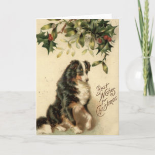 Vintage Grenzcollie-Weihnachtskarte Feiertagskarte