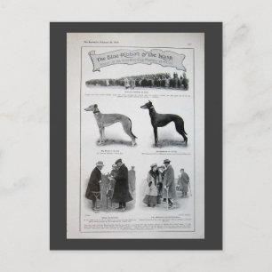 Vintage Greyhound News Postkarte