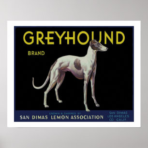 Vintage Greyhound-Zitronenetikett circa 1920 Poster