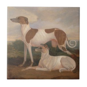 Vintage-Greyhounds Fliese