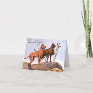 Vintage Große Dänen Vielen Dank Note Card Dankeskarte