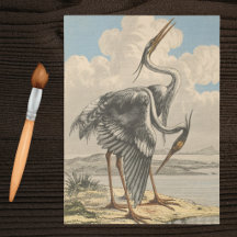 Vintage Großer Blau Reiher Dramatische Ornithologi