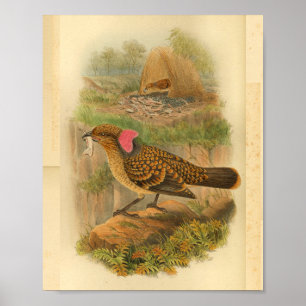 Vintage Großfrittiermaschine Bird Brown Poster