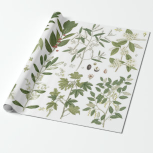 Vintage grüne Pflanze Geschenkpapier