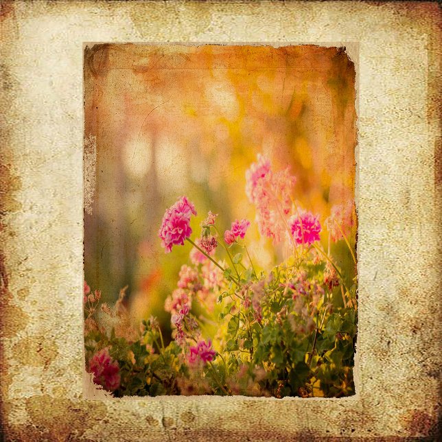 Vintage Grunge Wildblumen Scrapbook (Von Creator hochgeladen)