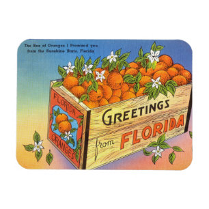 Vintage Grüße aus Florida Citrus Frucht Magnet