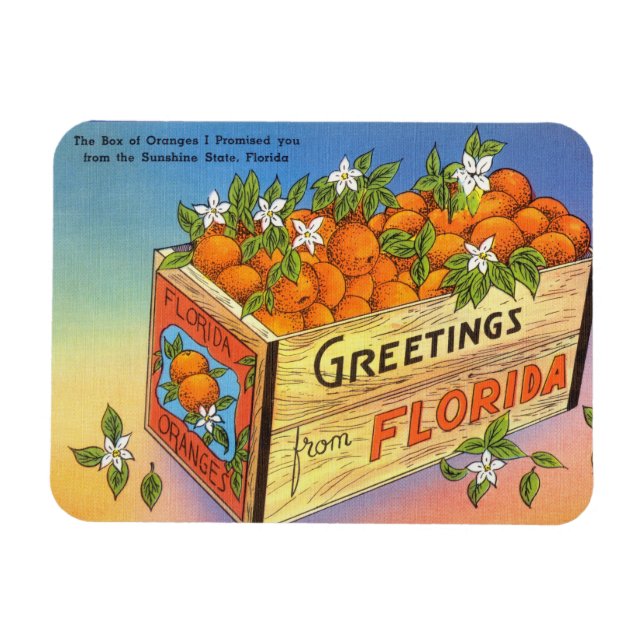 Vintage Grüße aus Florida Citrus Frucht Magnet (Horizontal)