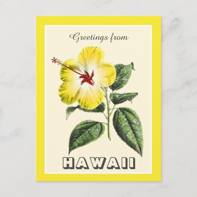 Vintage Grüße aus Hawaii Yellow Hibiskus Postkarte (Vorderseite)