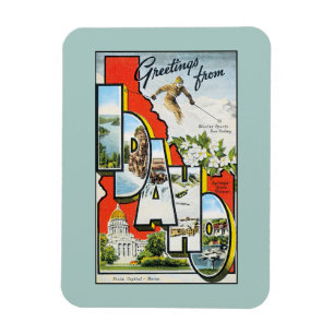 Vintage Grüße aus Idaho Magnet