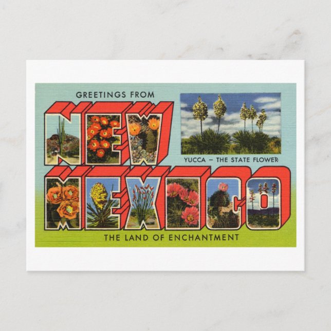 Vintage Grüße aus New Mexico Postkarte (Vorderseite)
